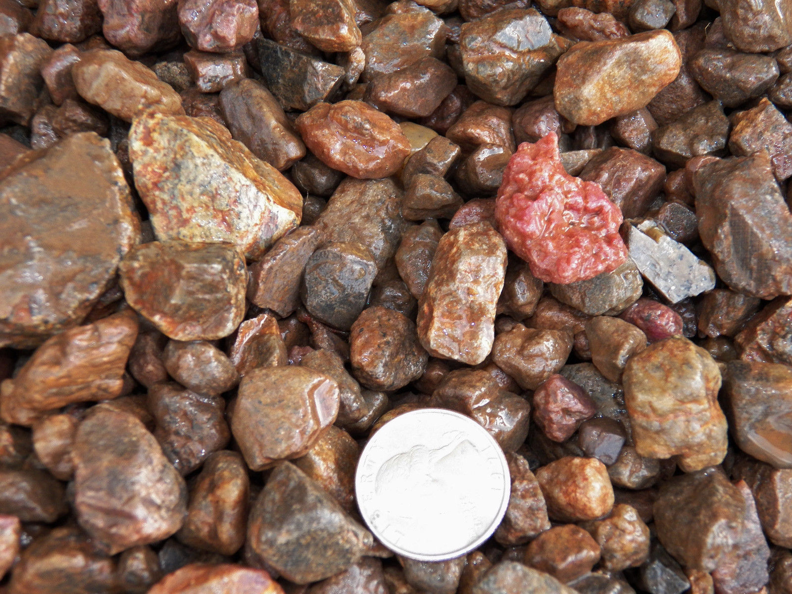 2000 Carat Lots of Ruby Rough – Plus a FREE Faceted Gemstone