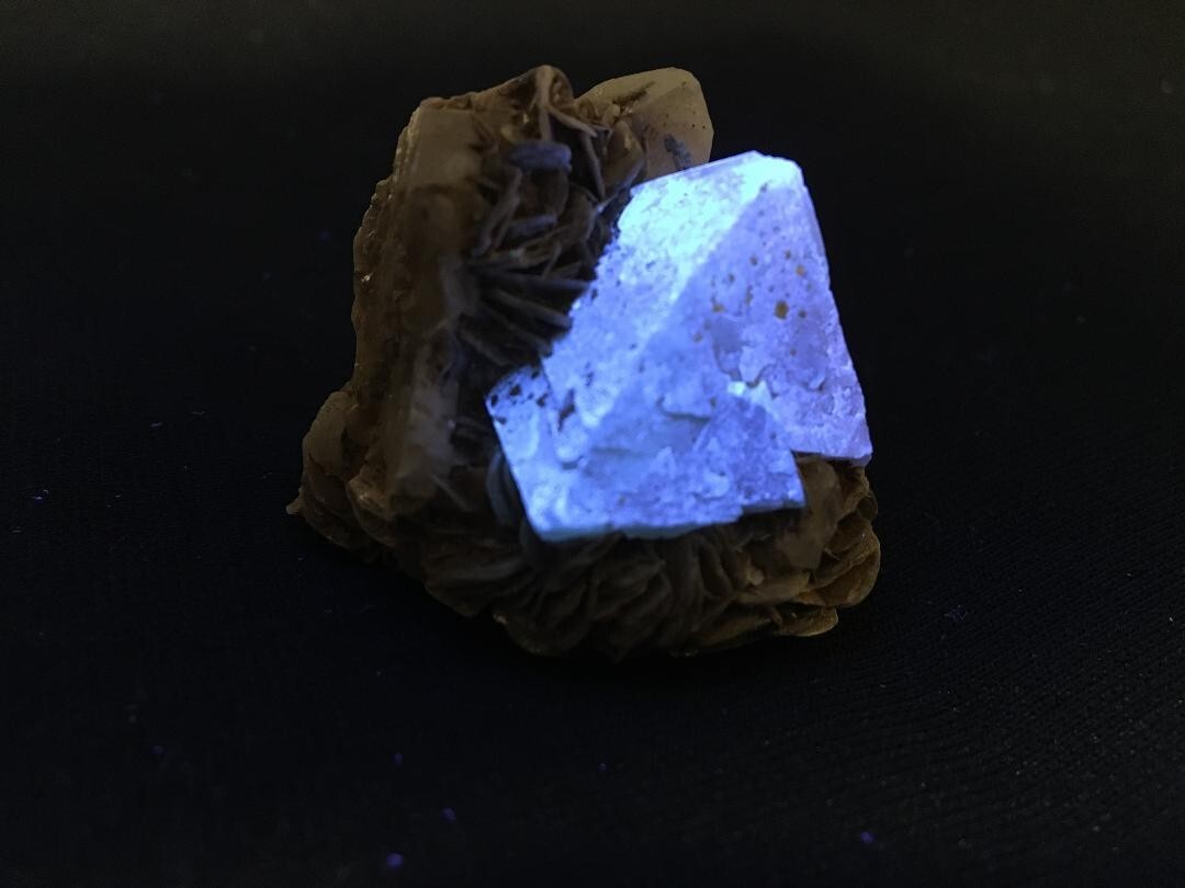 KB: SW FL BRIGHT BLUE/WHITE XL OF SCHEELITE IN MATRIX, SICHUAN PROVINCE, CHINA