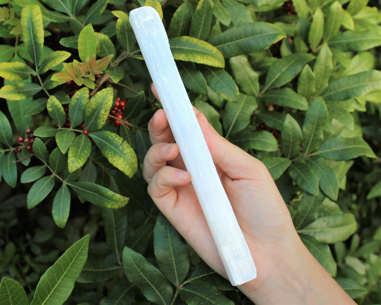 2 lb Bulk Wholesale Lot 7″ – 8″ Selenite Logs Crystal Sticks Wand Blade 2 Pounds