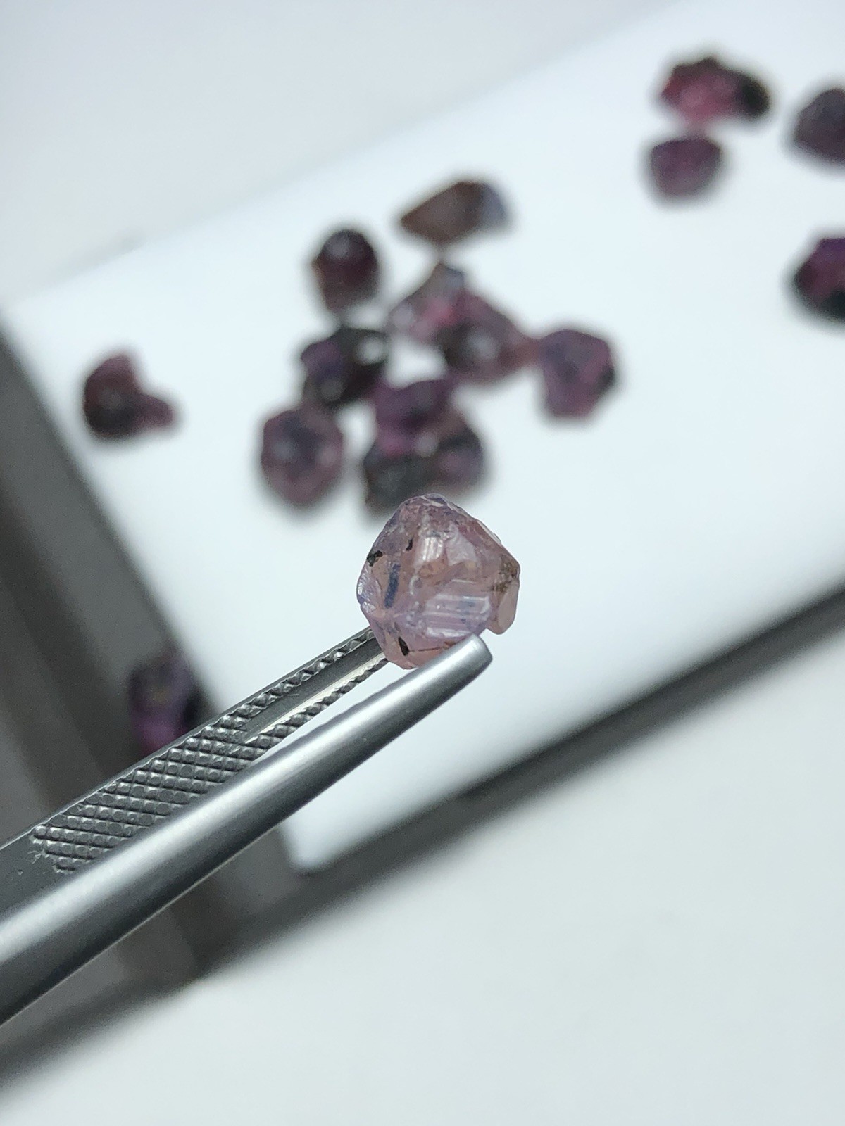 41.25 Crt / 18 Pieces / Natural Rare Winza Sapphire Crystal Hand Selected Piece
