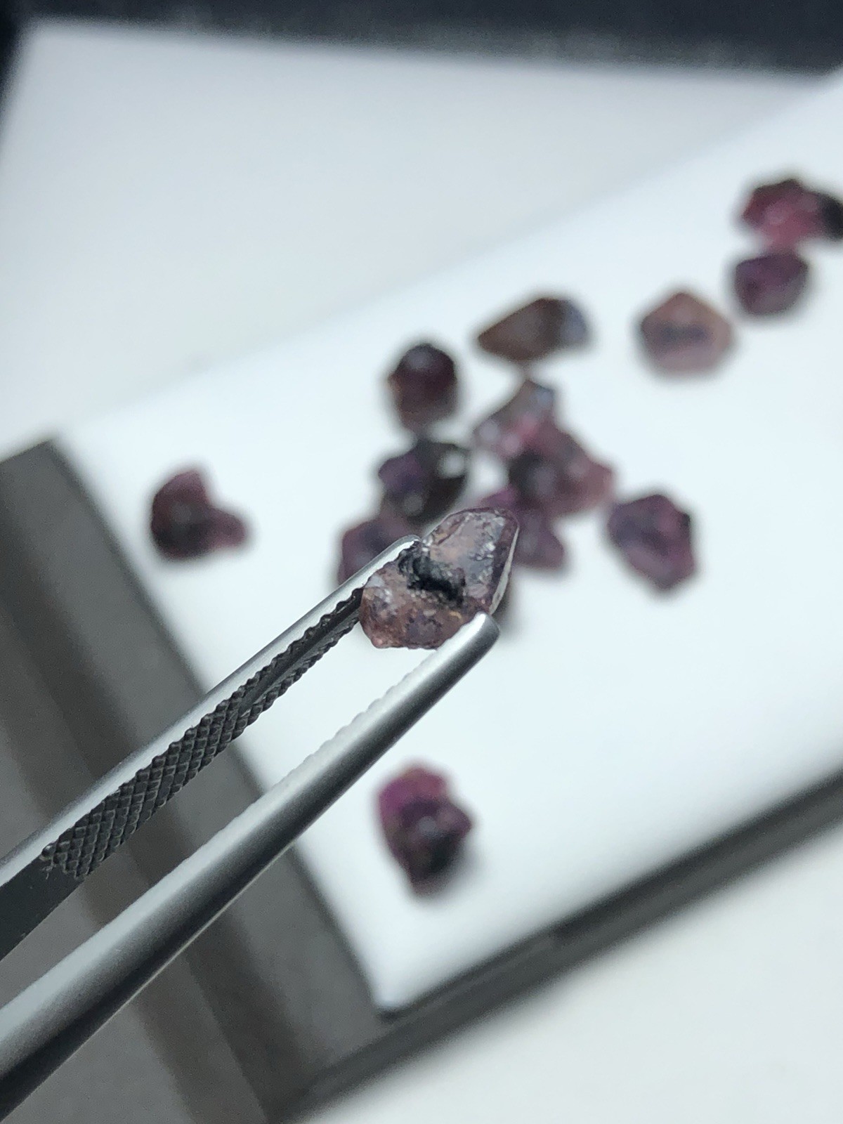 41.25 Crt / 18 Pieces / Natural Rare Winza Sapphire Crystal Hand Selected Piece
