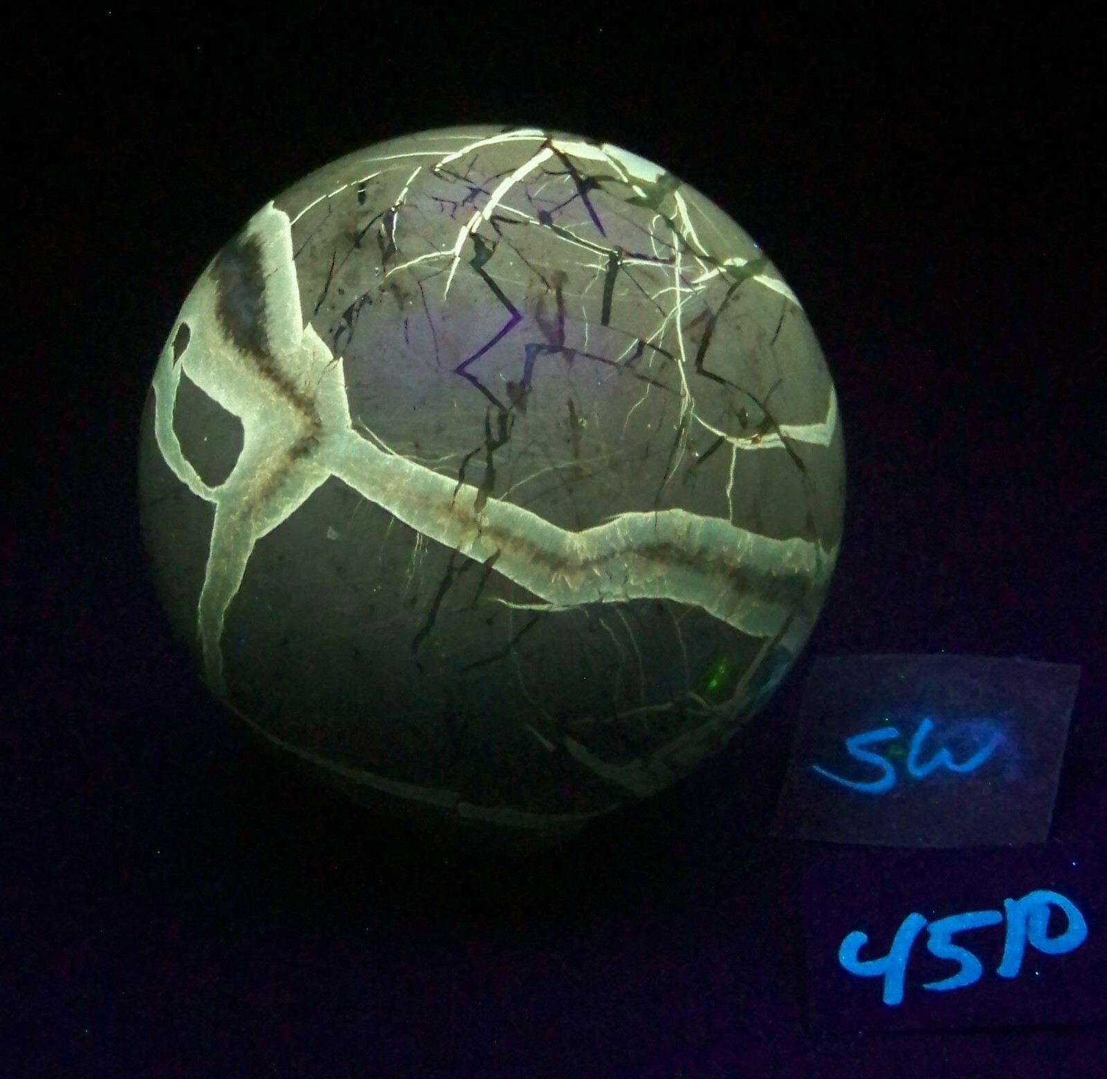 Fluorescent Septarian Nodule Sphere 76mm Collectible or Meditation Ball 4510