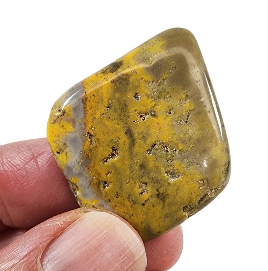 Jasper Bumble Bee Polished Slice Indonesia 8.4 grams