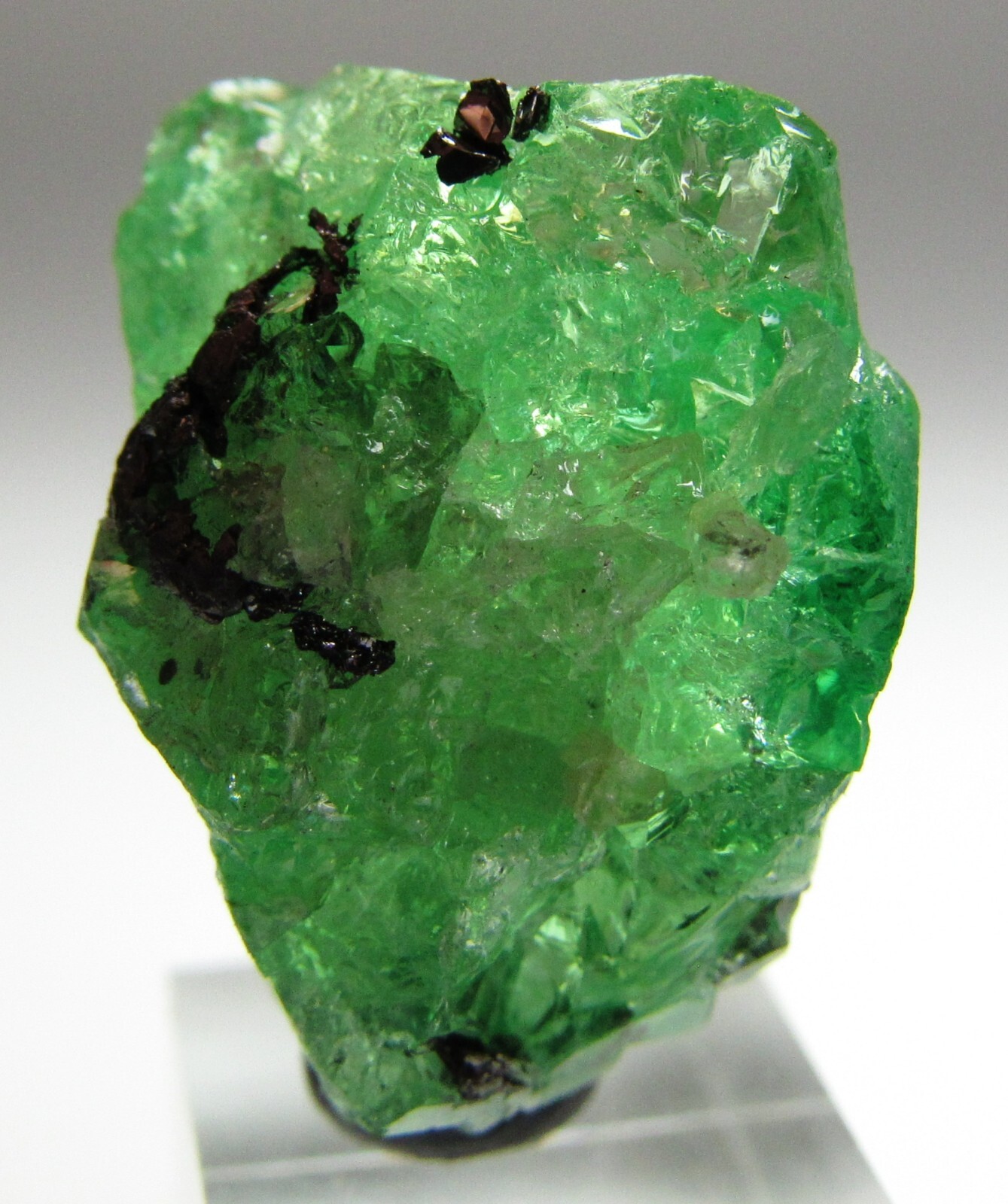 EXQUISITE ELEGANT GLASSY GEM TSAVORITE GROSSULAR GARNET W/ DIOPSIDE!!! TANZANIA