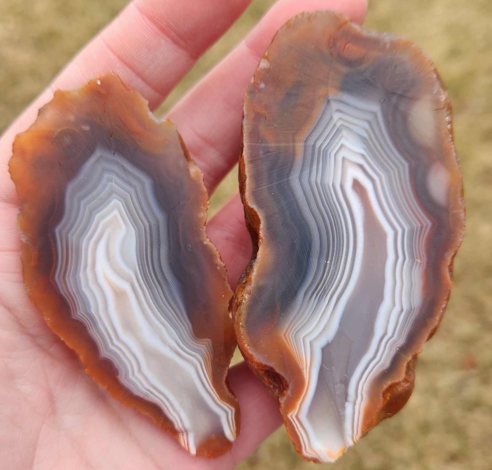 Lake Superior Agate 7.8 Oz Cut Not Polished Pair