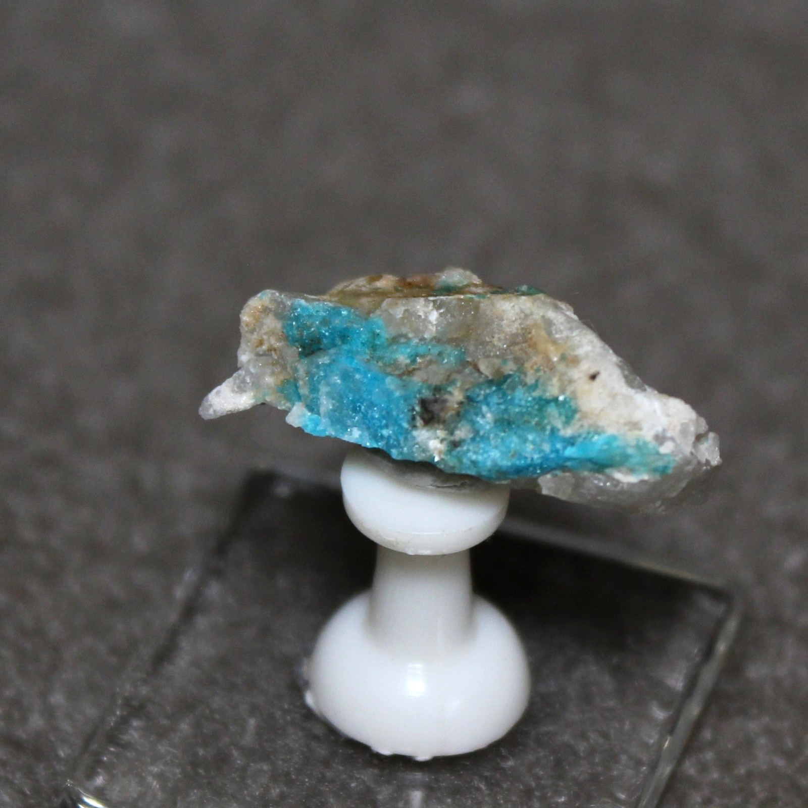TURQUOISE on quartz. Bishop Mine, Lynch Station, Virginia. #5218