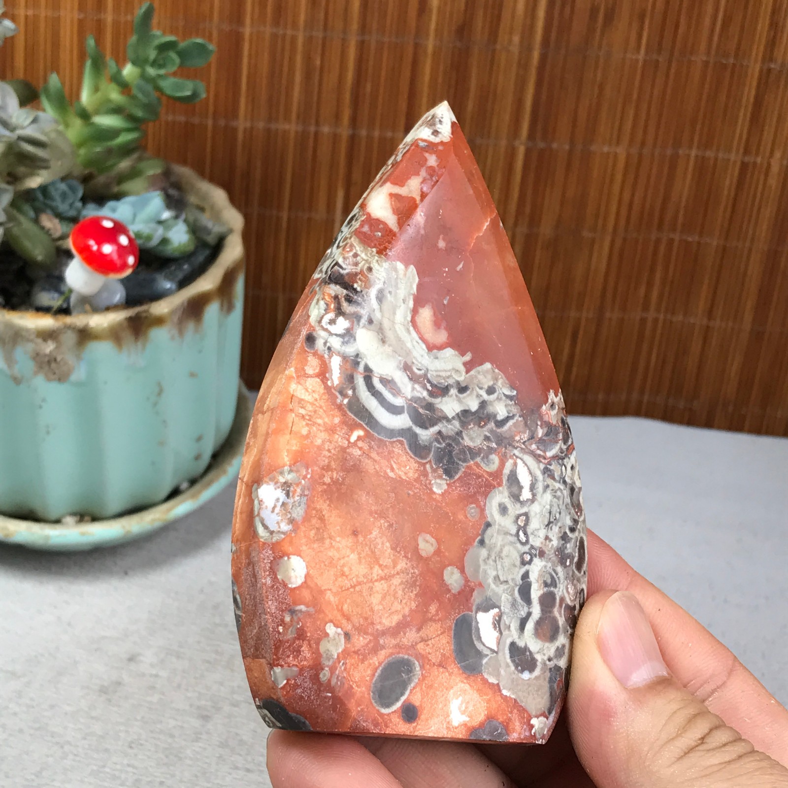 Natural money Mexico agate hand carve leaf Crystal Specimen free standing A6261