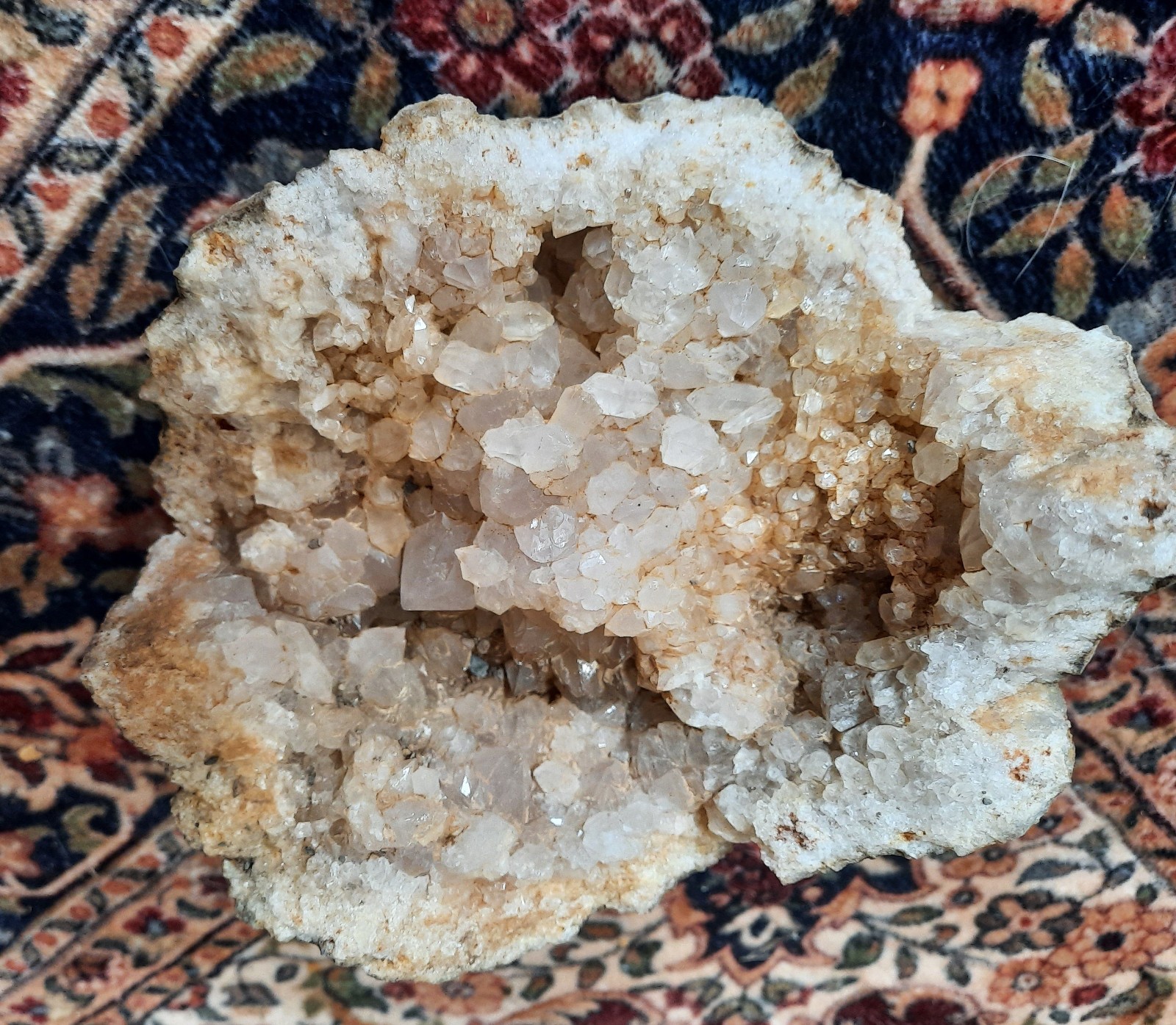 Kentucky Geode Fragment, Large Crystal Cluster. 3+ Pounds 6+ Inches
