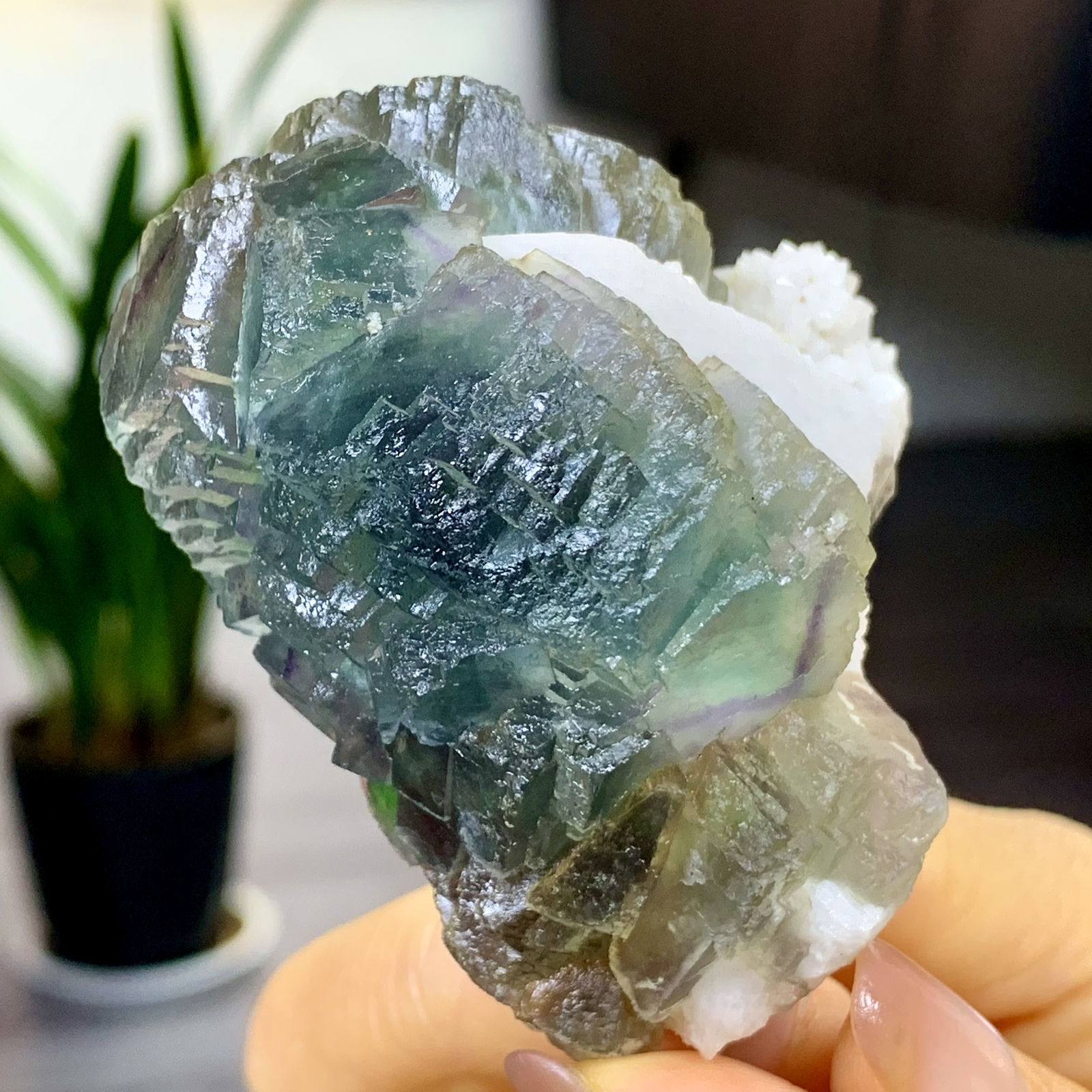 197G Rare transparent blue green cubic fluorite mineral crystal sample