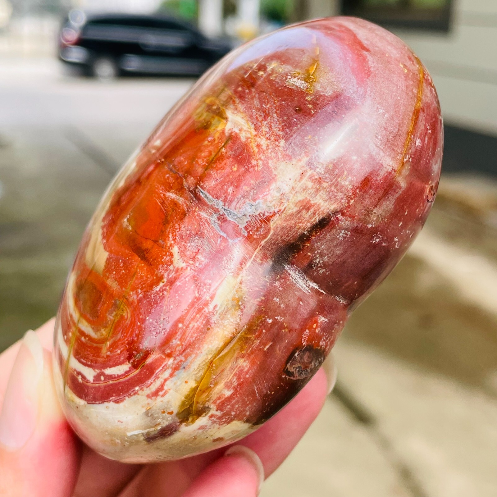 364g Natural Petrified Wood Jade Quartz Crystal Fossil Heart Shape Specimen