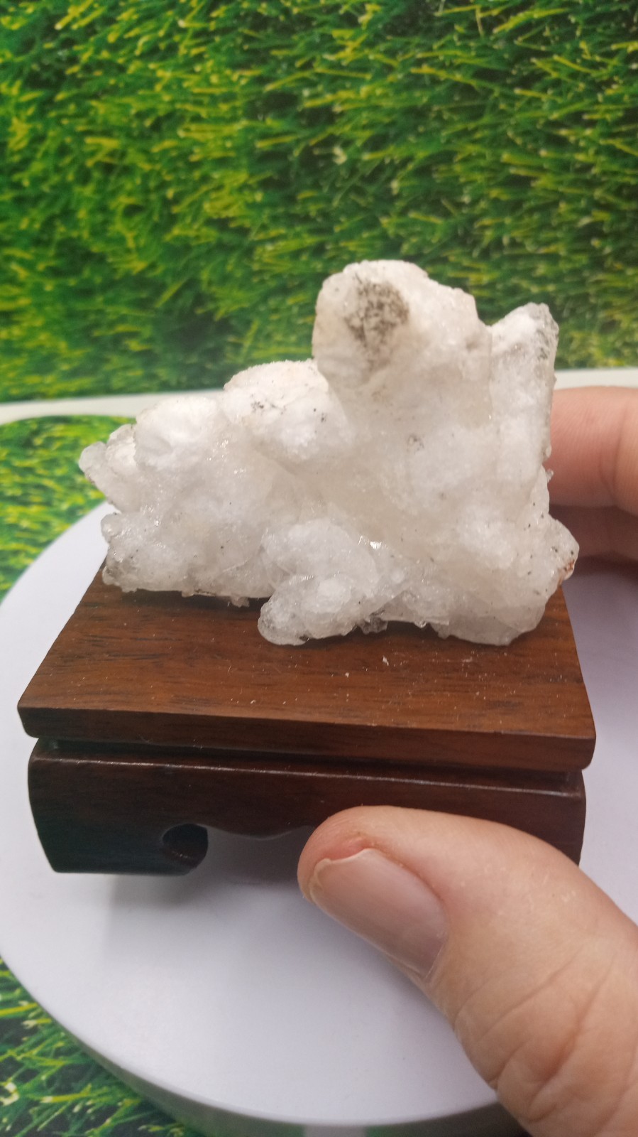 Quartz w/ Halite Mineral on Cherry Wood Stand ~ Carlsbad New Mexico ~