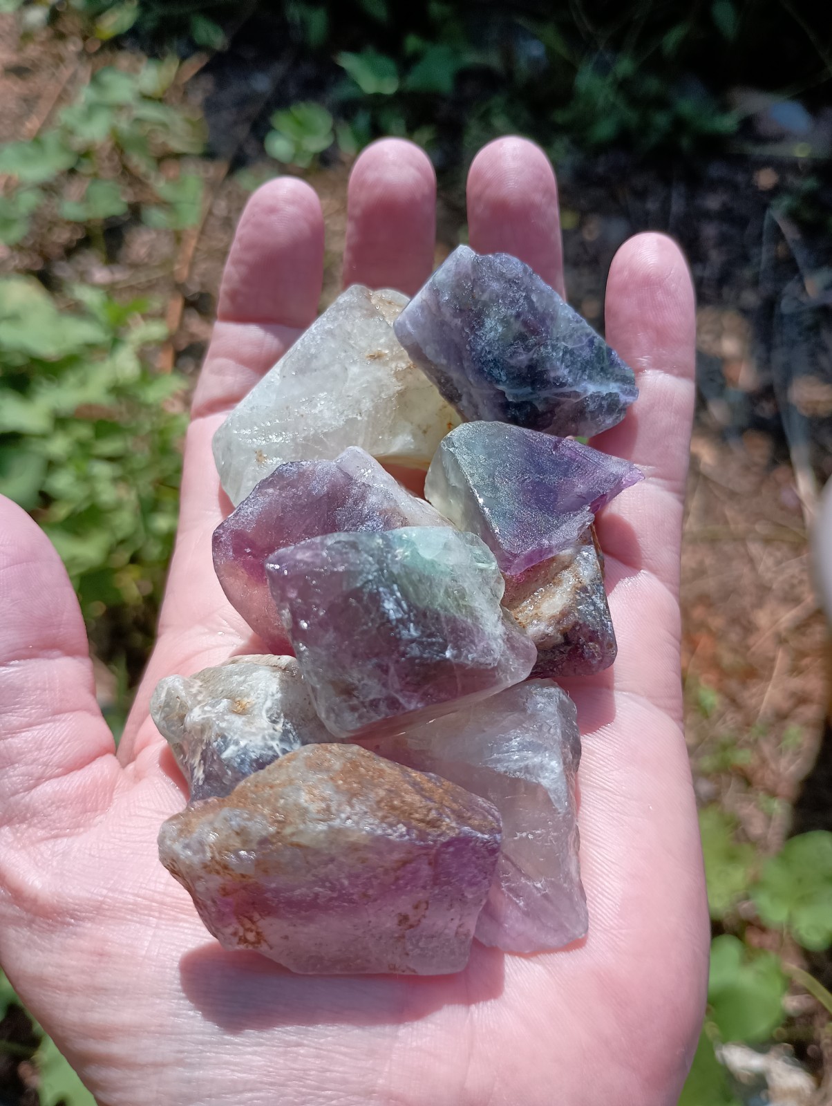 Rainbow Fluorite Roughs 1/2 Pound Lot Small Medium Size Raw Crystals