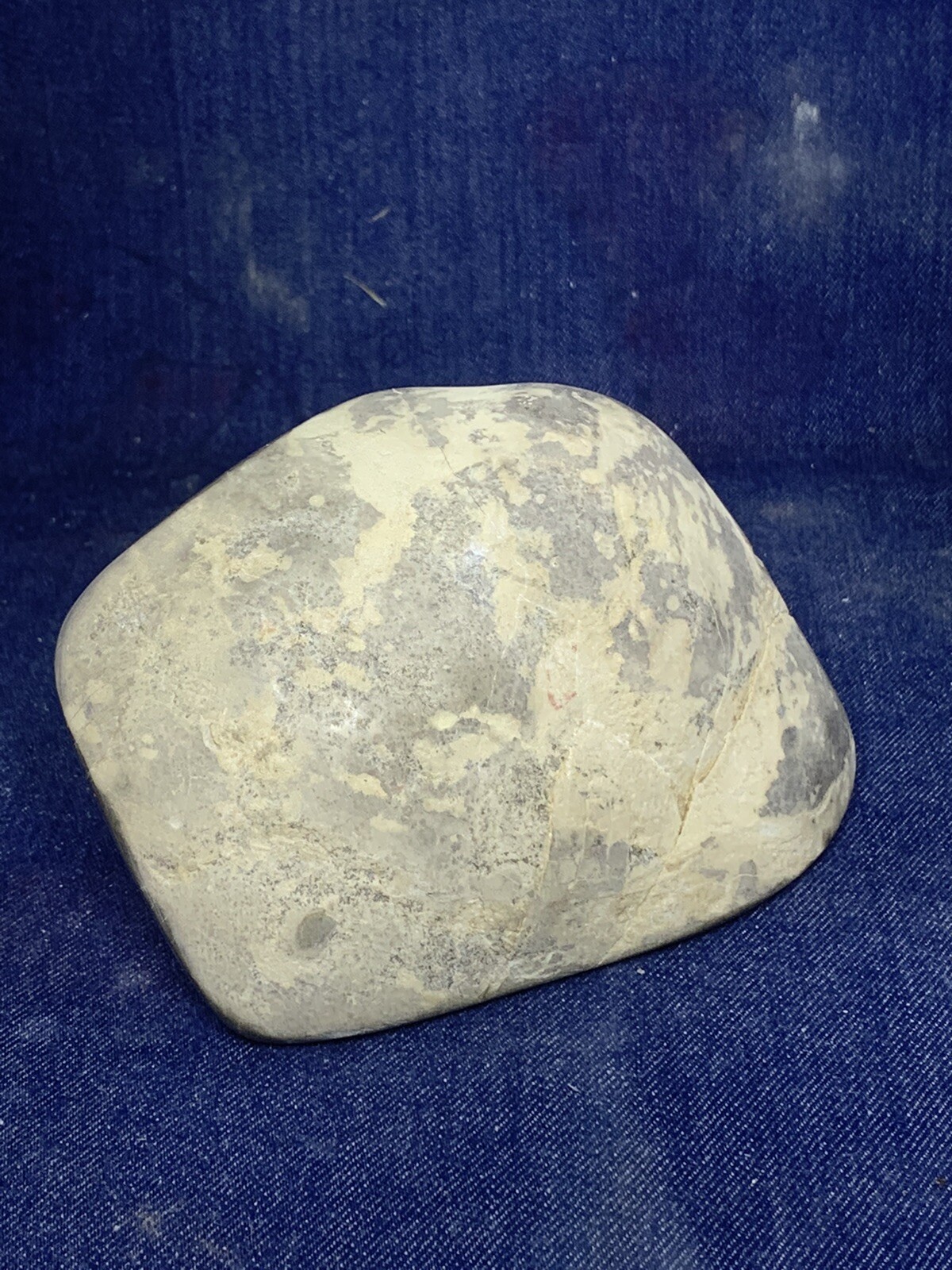 Septarian Nodule Freeform ( Utah)with Description Card