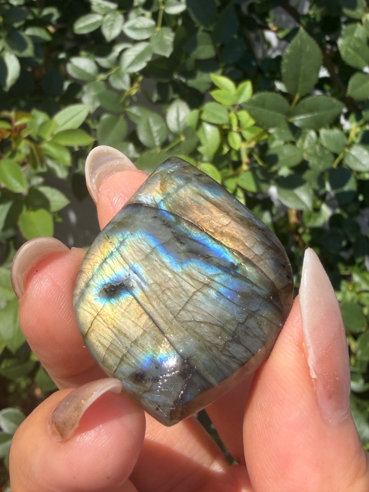 Wholesale Lot 12 Pcs Natural Labradorite Cabochon Crystal Healing Energy