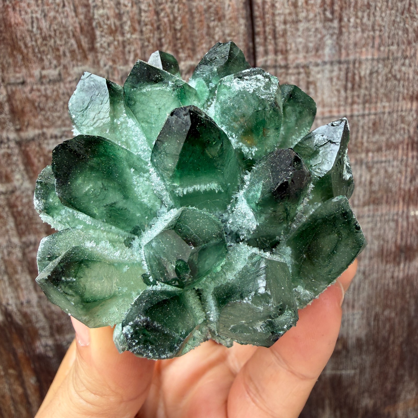 New Find green Phantom Quartz Crystal Cluster Mineral Specimen Healing 200g+ 1pc