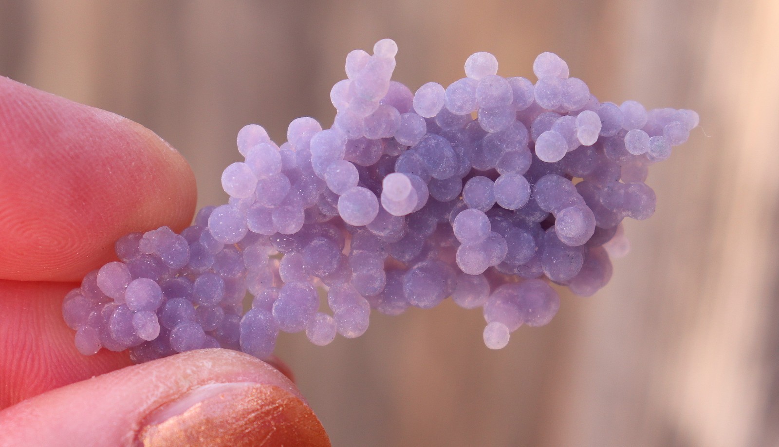 Grape Agate From Indonesia Satiny Purple Color WOW 5.5 cms (: