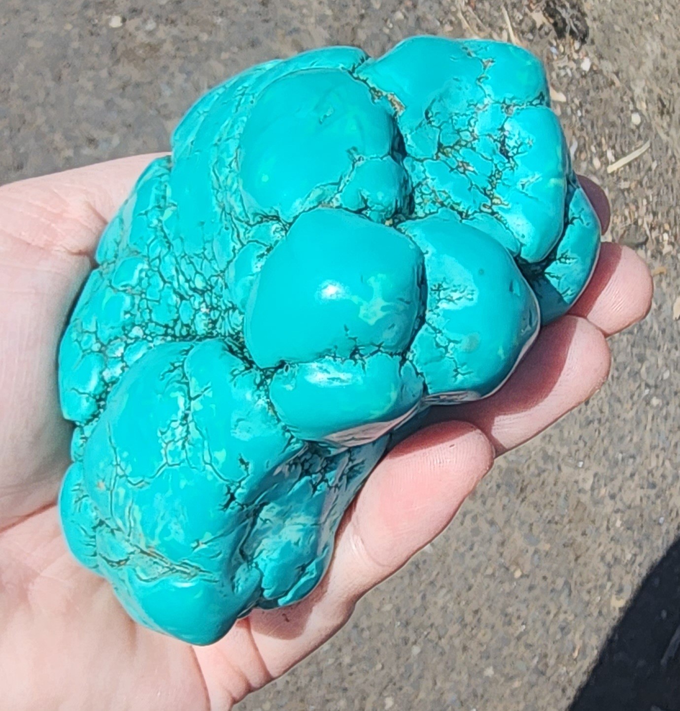 420g Natural Botryoidal Turquoise Rough Gemstone Crystal Mineral Specimen