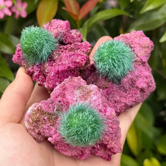 Red Rare Dandelion Zeolite Quartz Crystal Healing Cluster Mineral Specimen Decor