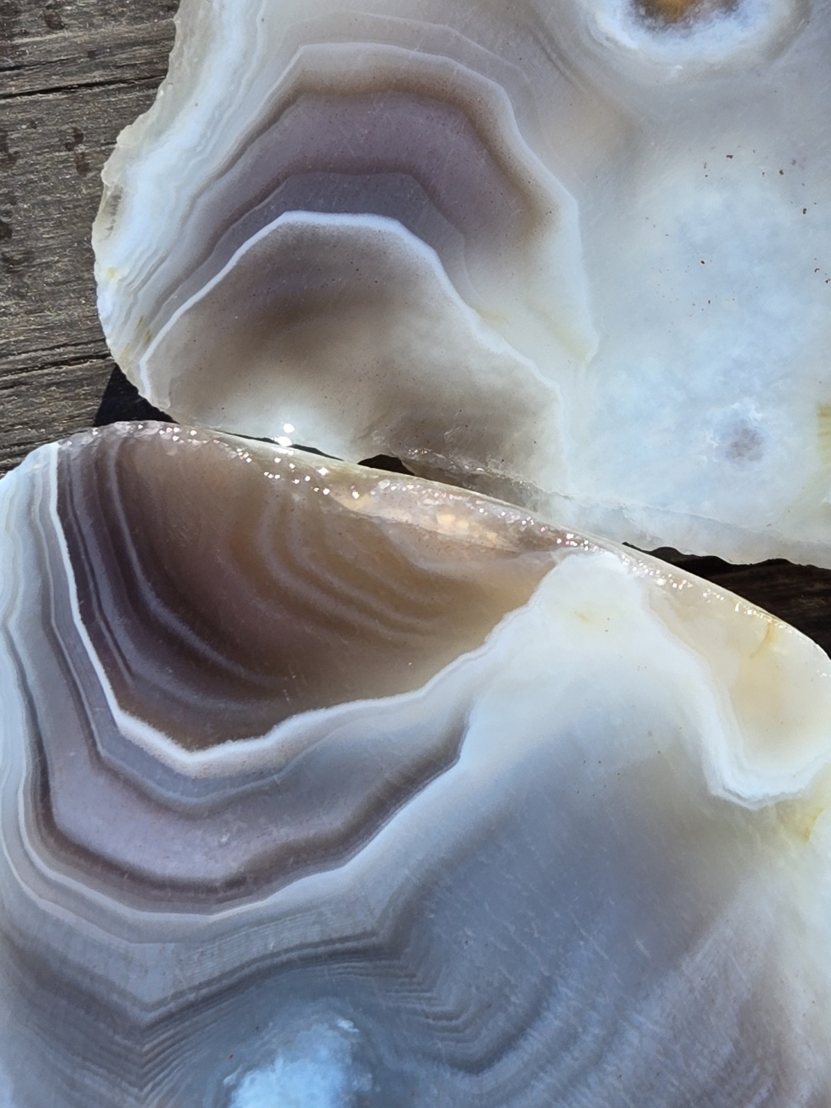 Botswana Agate Cut In Half – Rough, Natural, Not Polished
