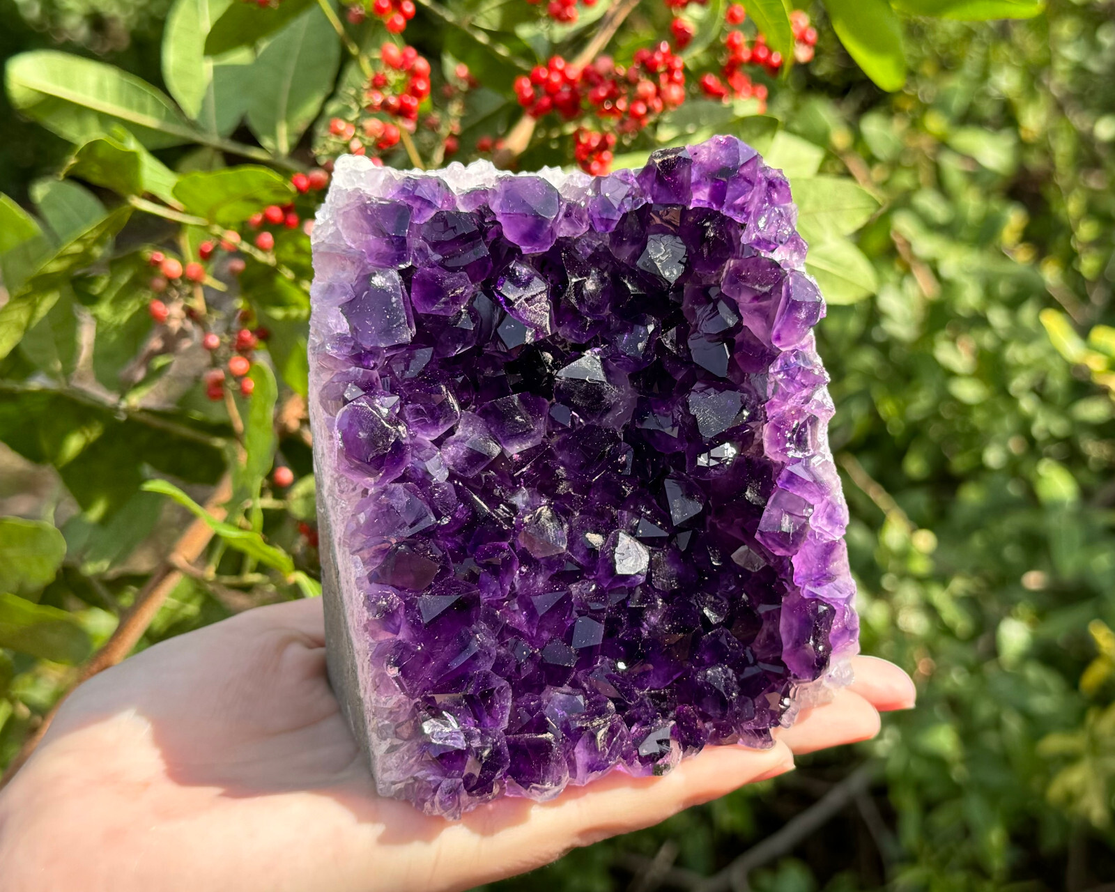 Stunning EXTRA LARGE Amethyst Cut Base Cluster Crystal Quartz Geode 12 oz – 1 lb