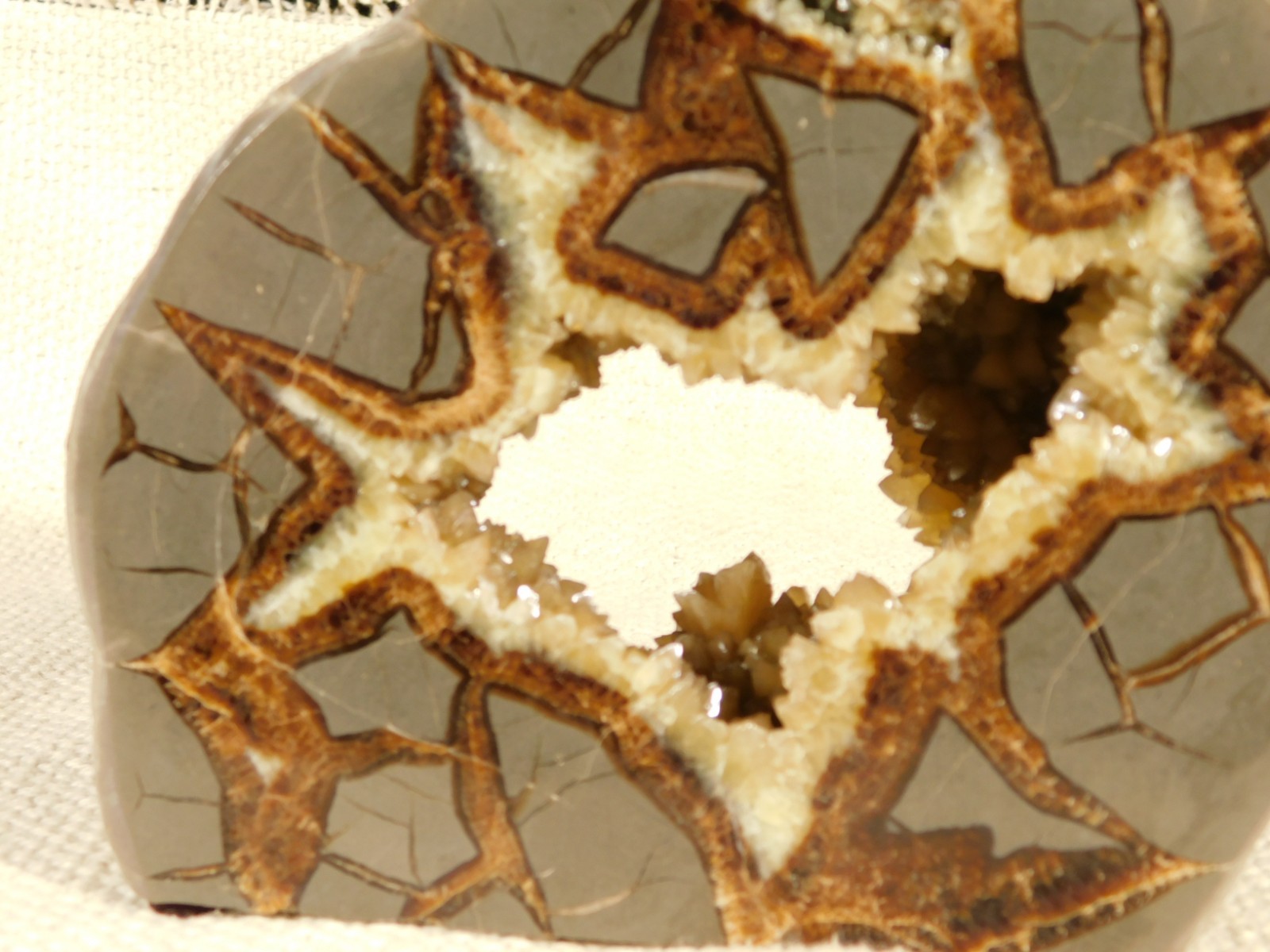 Big! Polished AAA Crystal Filled Hollow Septarian GEODE FREE Standing Utah 780gr