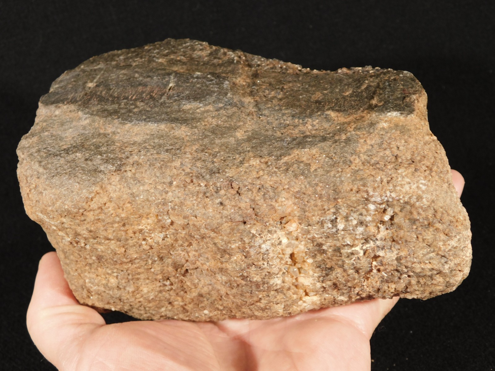 Big! Petrified Wood Fossil With SMOKY Quartz CRYSTALS Utah 2362gr
