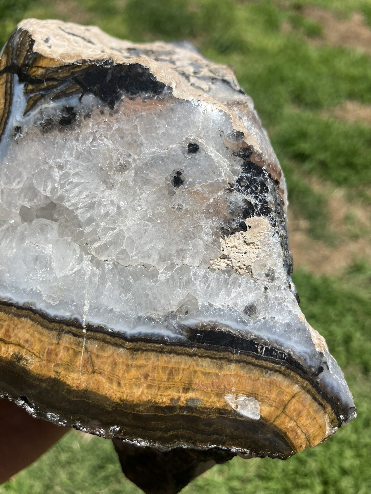 Black And Gold Agate Specimen (NM)