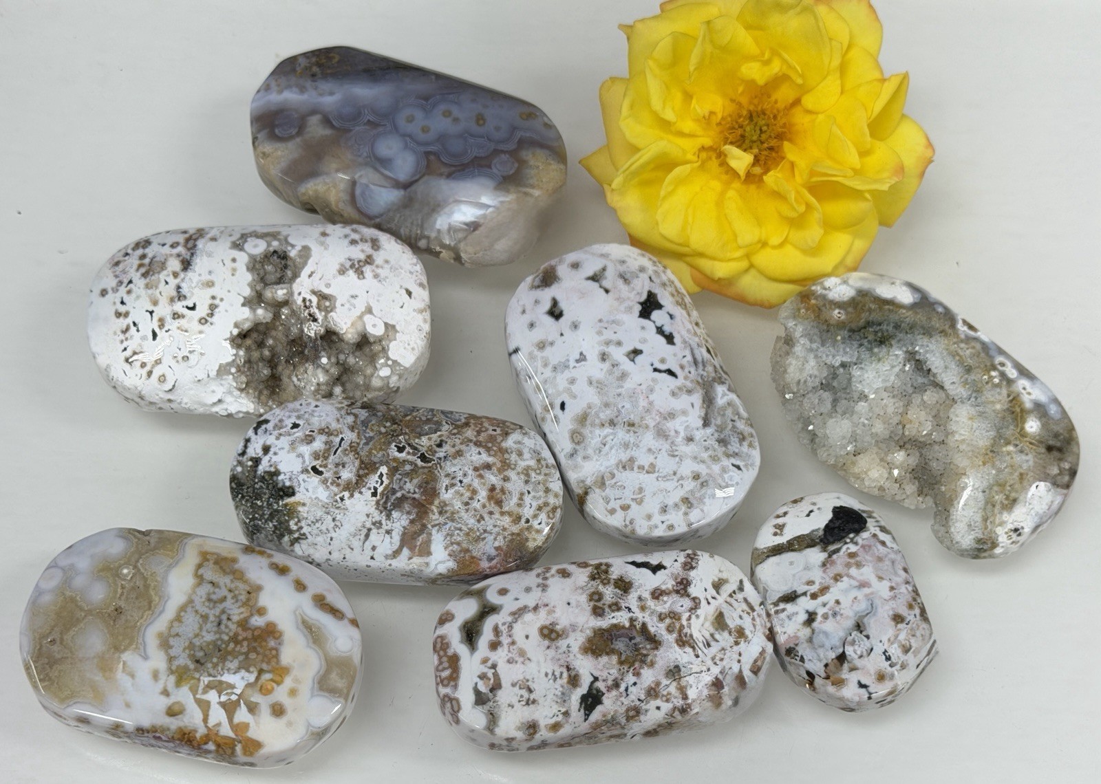 Wholesale Lot 1 Lb Natural Ocean Jasper Palm Stone Crystal Healing Energy.