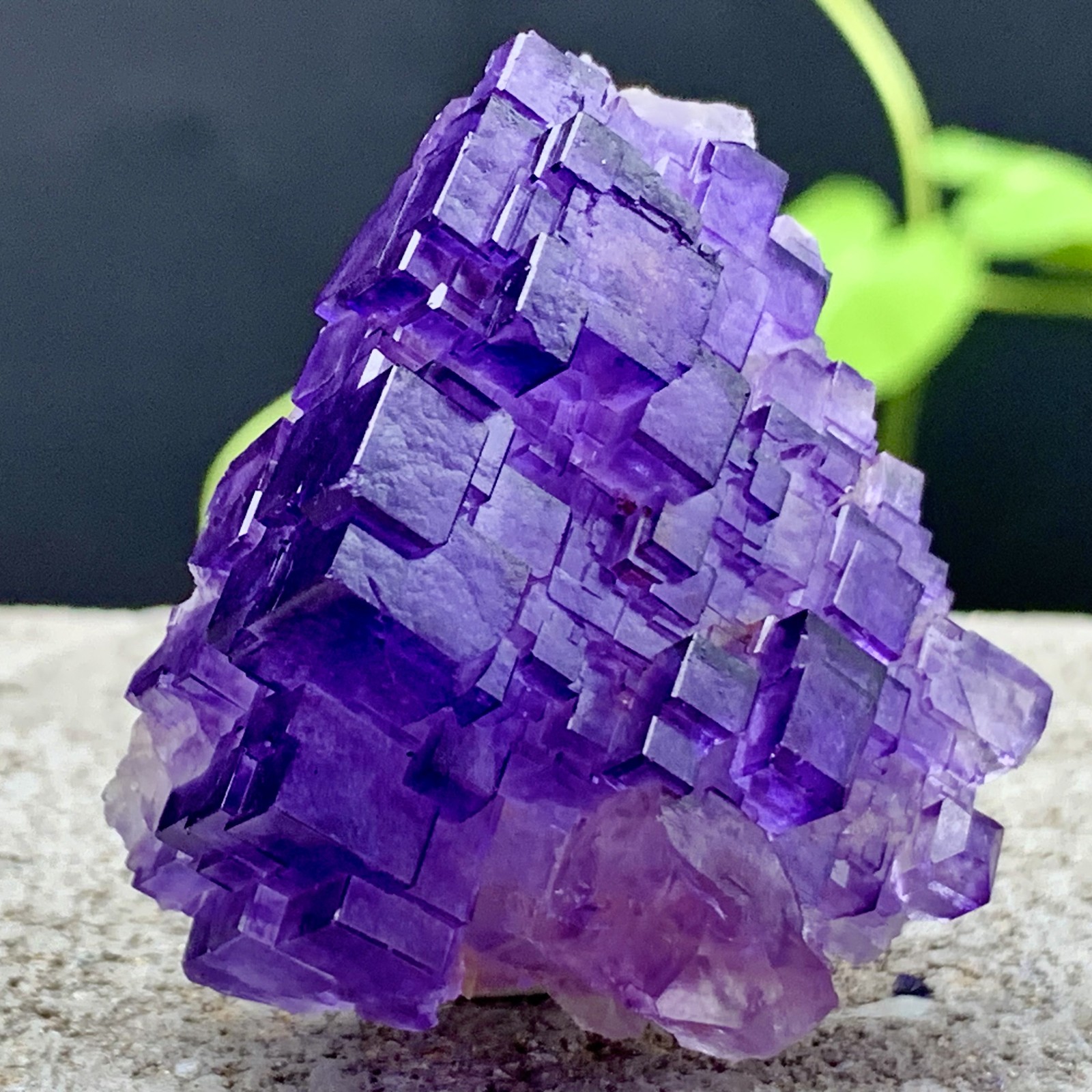 53G Natural purple fluorite Matrix array stepped fluoritemineral specimen/China