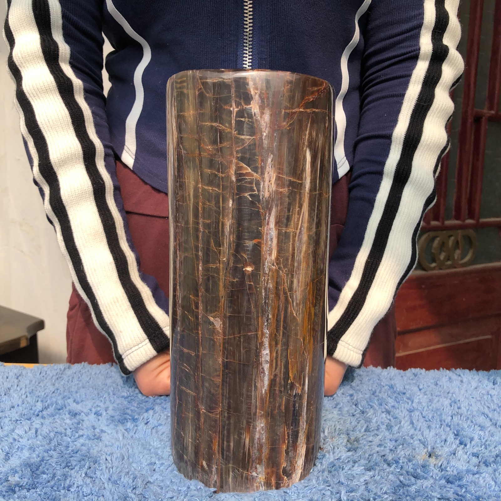 16.3LB Natural wood fossil quartz crystal mineral specimens healing