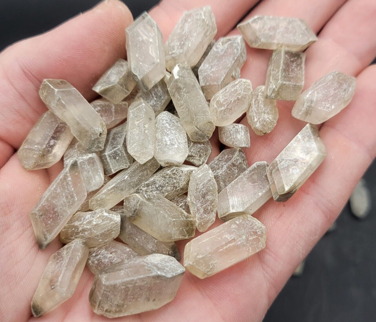 ONE Ohio Selenite Crystal 18-25 mm Natural Gypsum Crystal Ohio USA Minerals