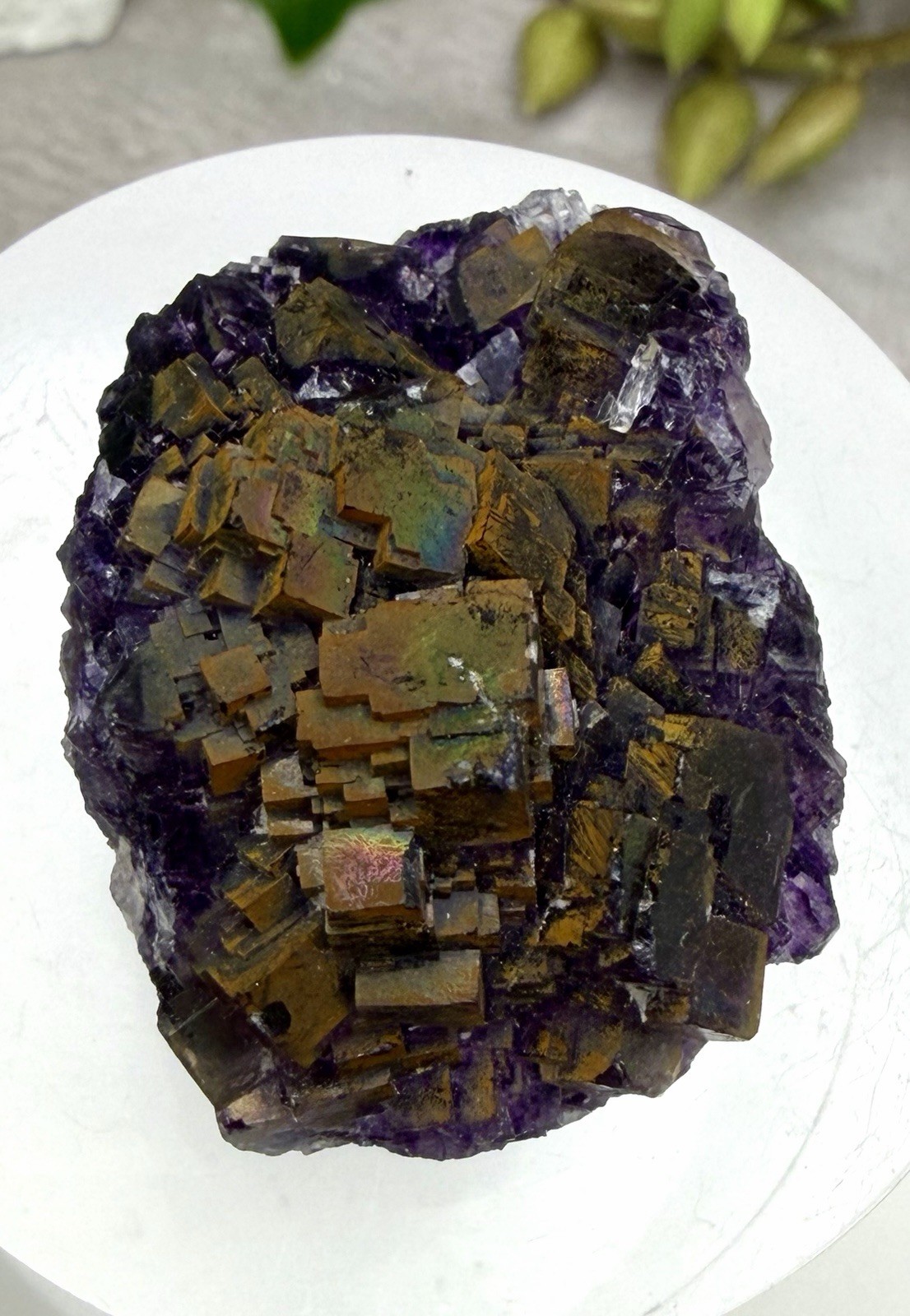 Crystal 25g Rainbow Covered Purple Fluorite UV Reactive Cluster Specimen Mineral