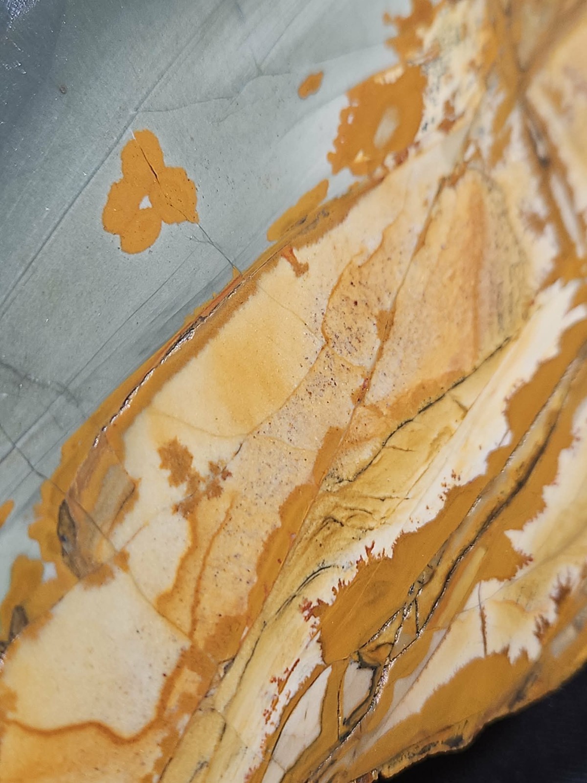 Oregon Picture Jasper Specimen (3lbs 4oz) Measures 8 in x 4 in x 3 in
