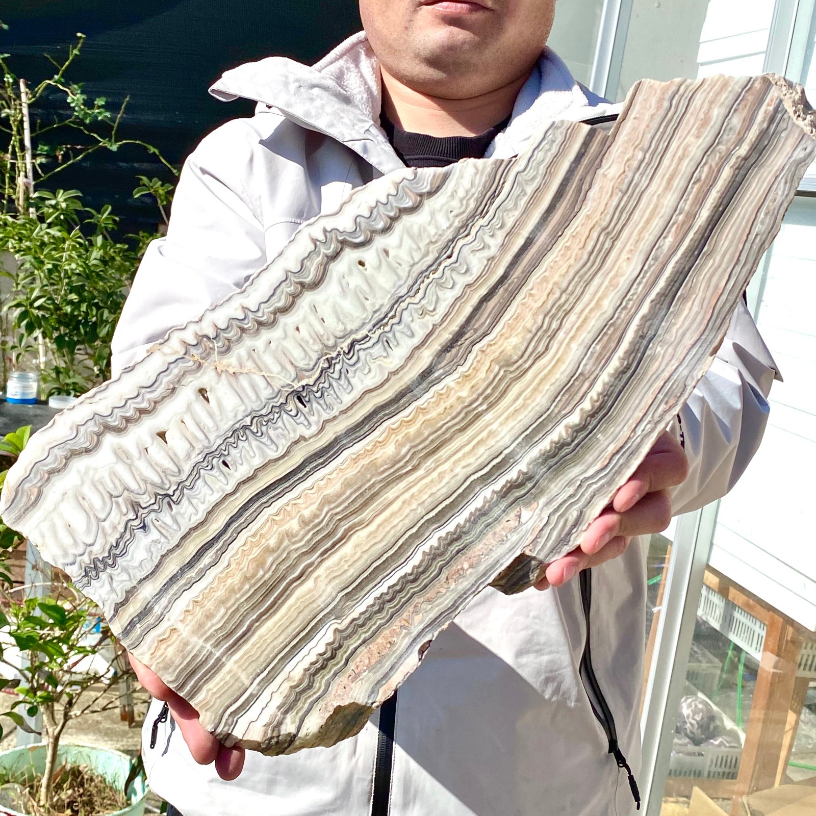 6LB Natural agate, zebra stone, crystal mineral, cut and polished in flakes
