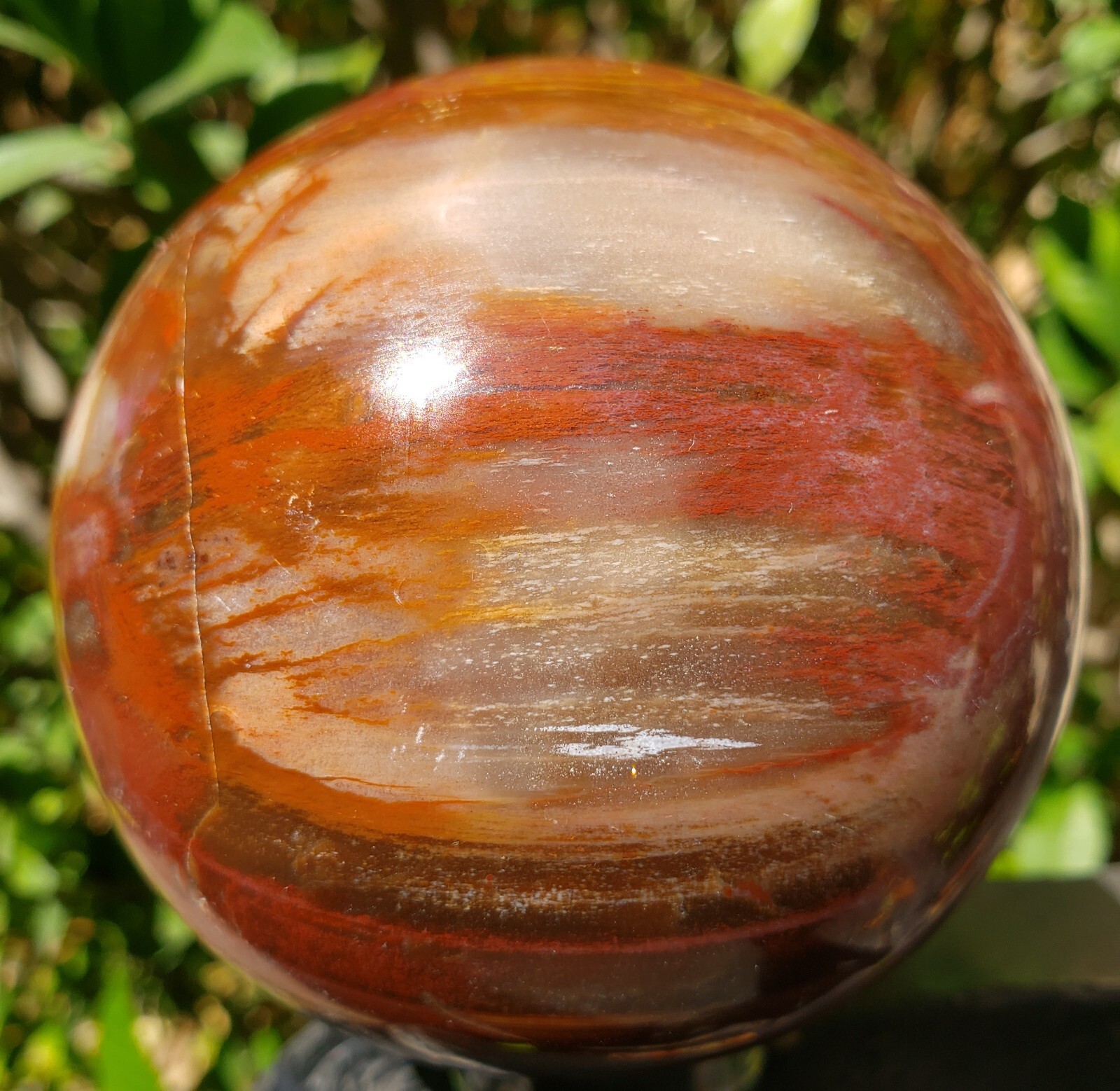3.36″ Red Petrified Wood Sphere Orb Quartz Crystal Ball Fossil Mineral UV, 865g