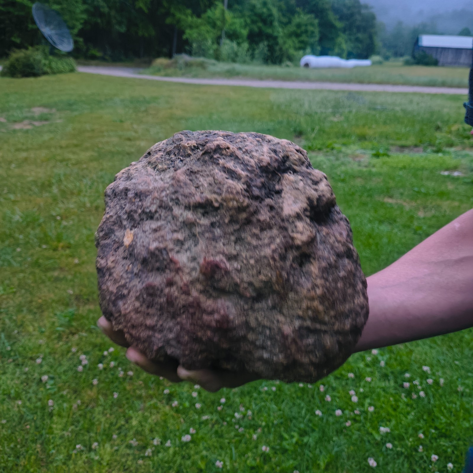 20.6 lb Unopened Kentucky Geode Break Your Own Large Quartz Crystal Hand Picked