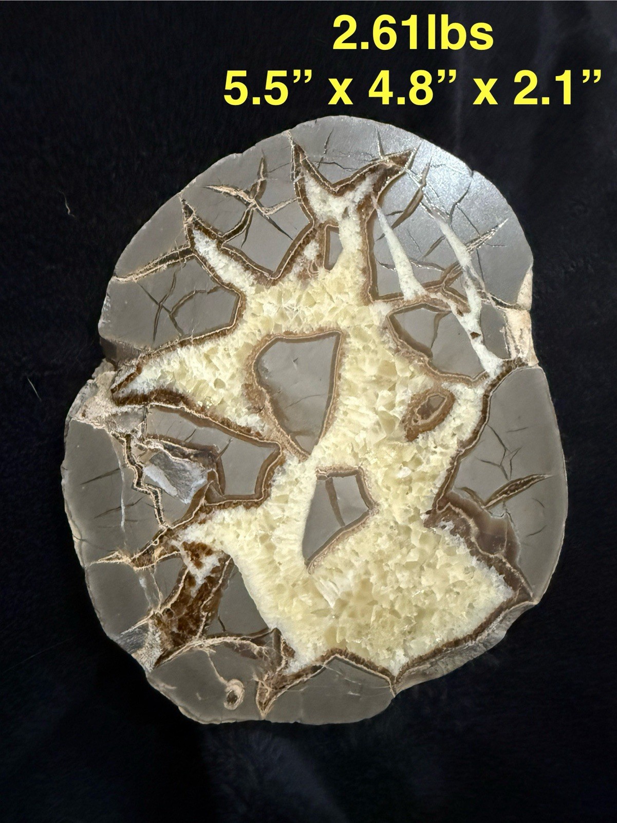XL 5.5” Utah Septarian Nodule Geode Lightning Pattern UV Reactive Phosphorescent