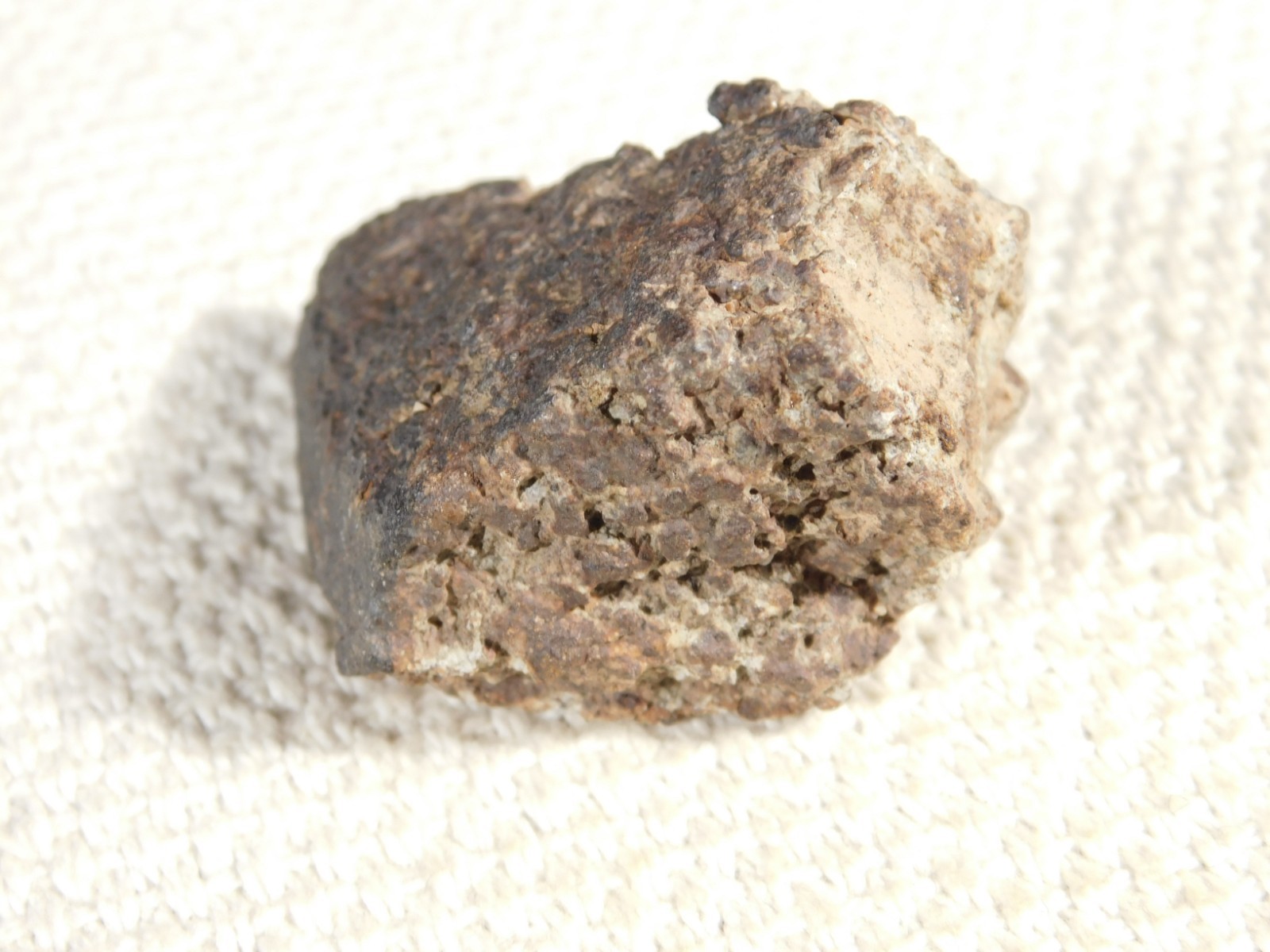 Classified NWA 8245 METEORITE 100% Natural FELL in Erfoud, Morocco 65.9gr