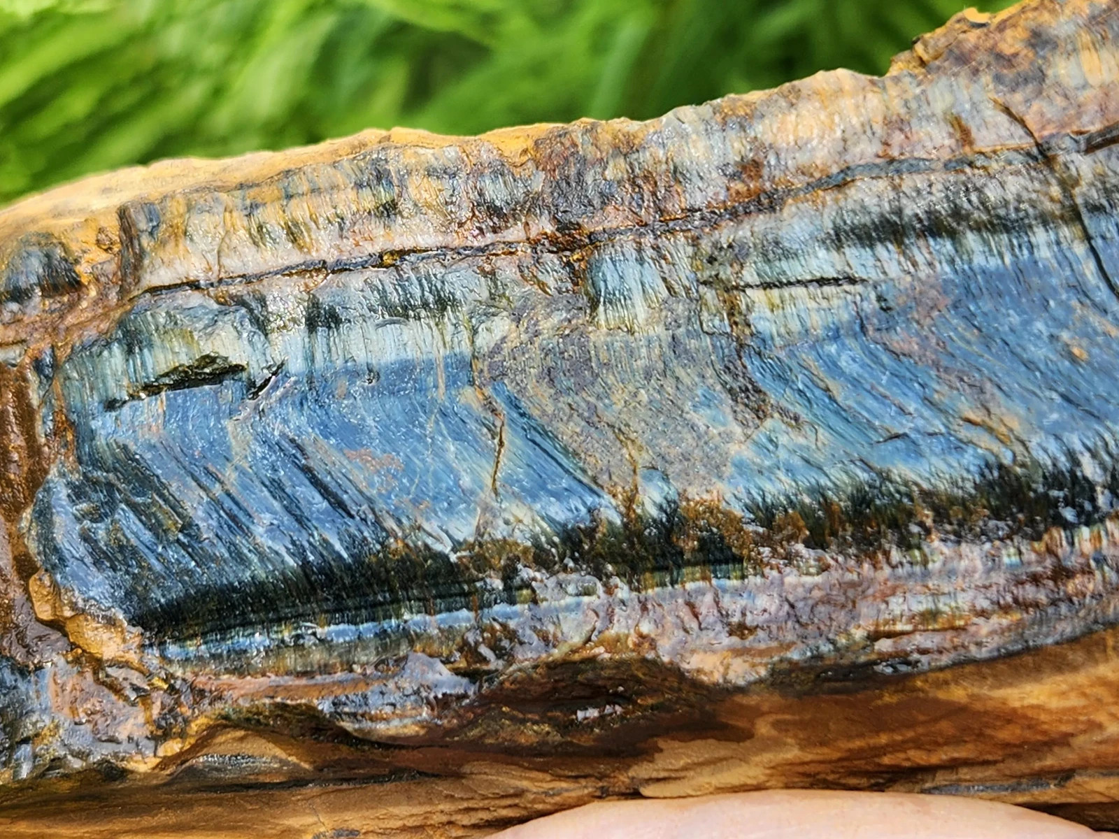 5 lb 11 oz Rough Blue Tiger’s Eye Stone. Ideal for Lapidary. Luminescent