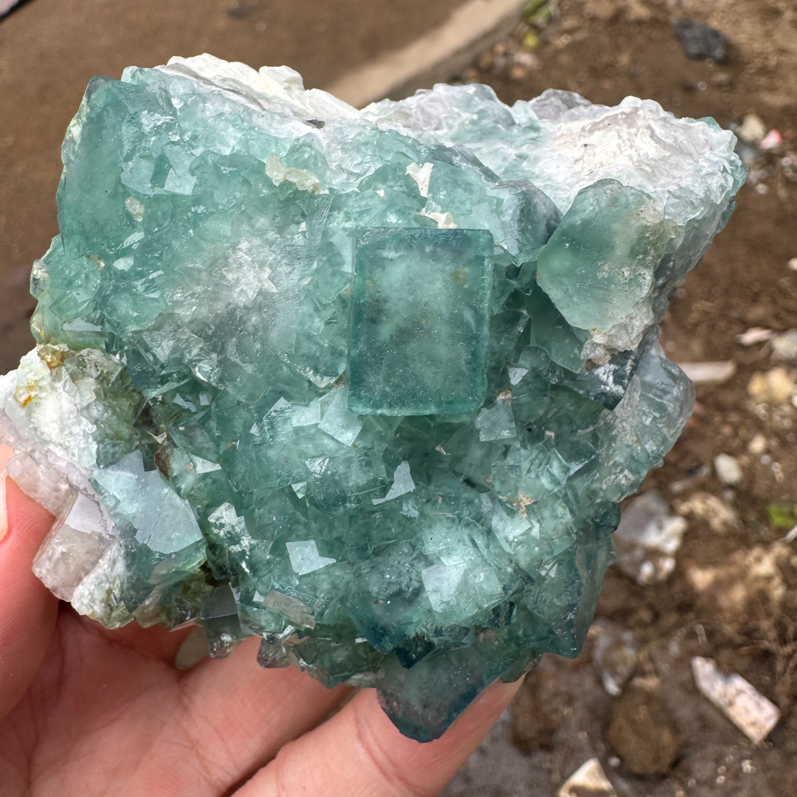 230G Natural cubic green fluorite crystal cluster rough mineral specimen Healing