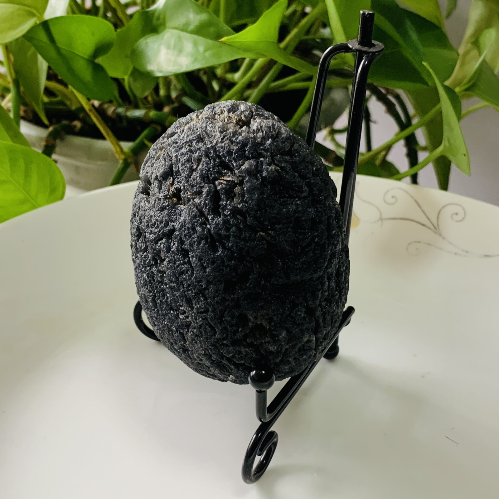 TOP 286g Natural Carbonaceous Chondrite Meteorite with Black reiki healing+stand