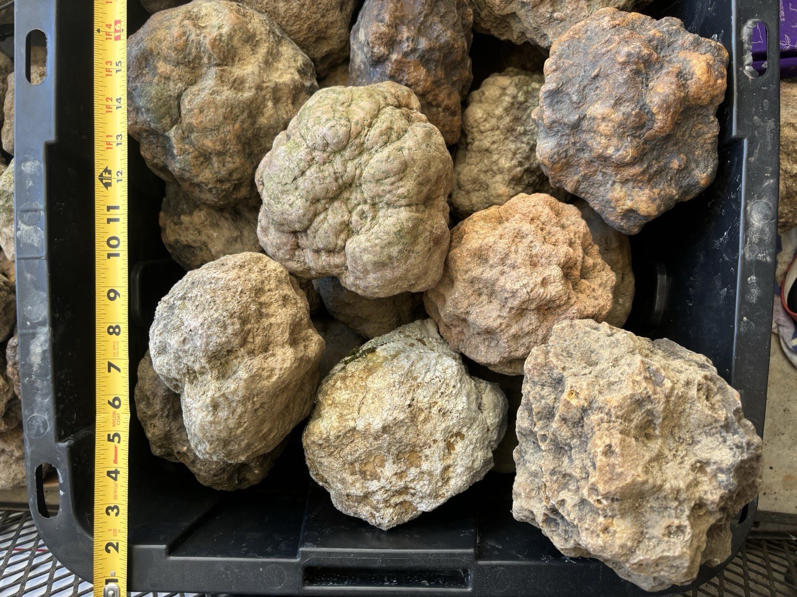 15 lbs Unopened Geodes Lot Natural Quartz Crystal Break Your Own Geode/ Lapidary