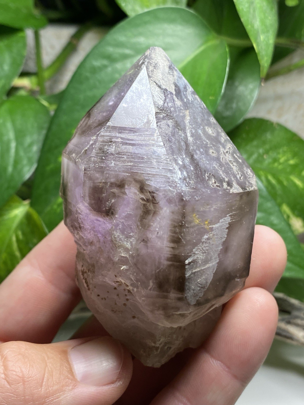 269 Gram Large Smoky Amethyst Scepter – Namibia, Africa