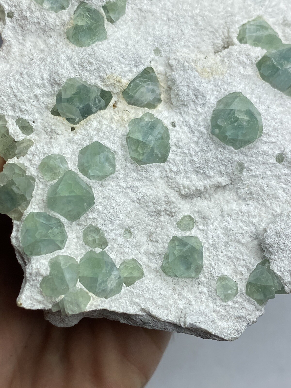 — Large Cabinet Complex Green Fluorite With Beveled Edges — Czech Republic