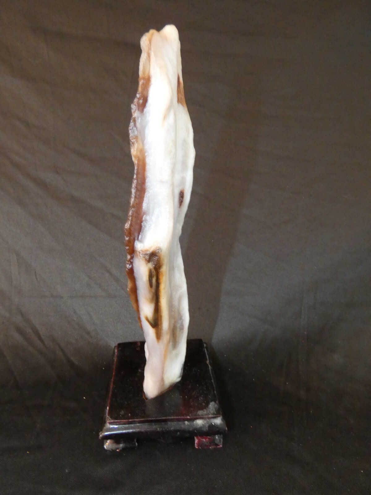 Beautiful Natural Opalized Petrified Wood, from China, U.S. Army Vet Seller