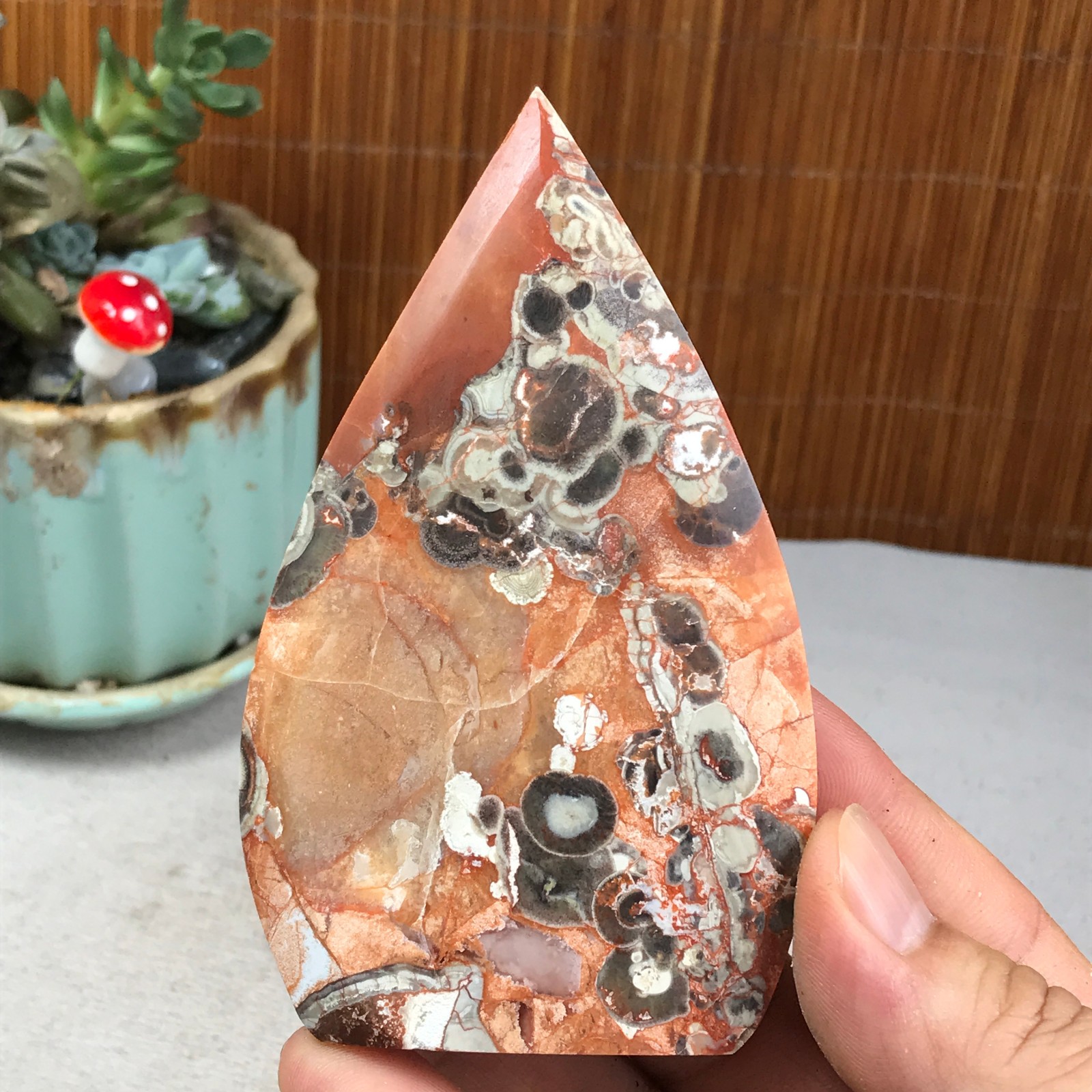 Natural money Mexico agate hand carve leaf Crystal Specimen free standing A6261