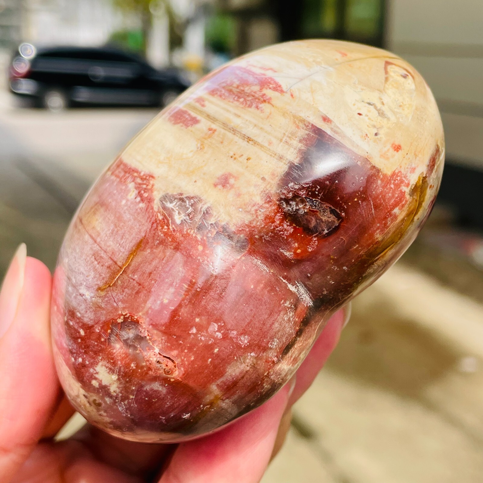 364g Natural Petrified Wood Jade Quartz Crystal Fossil Heart Shape Specimen