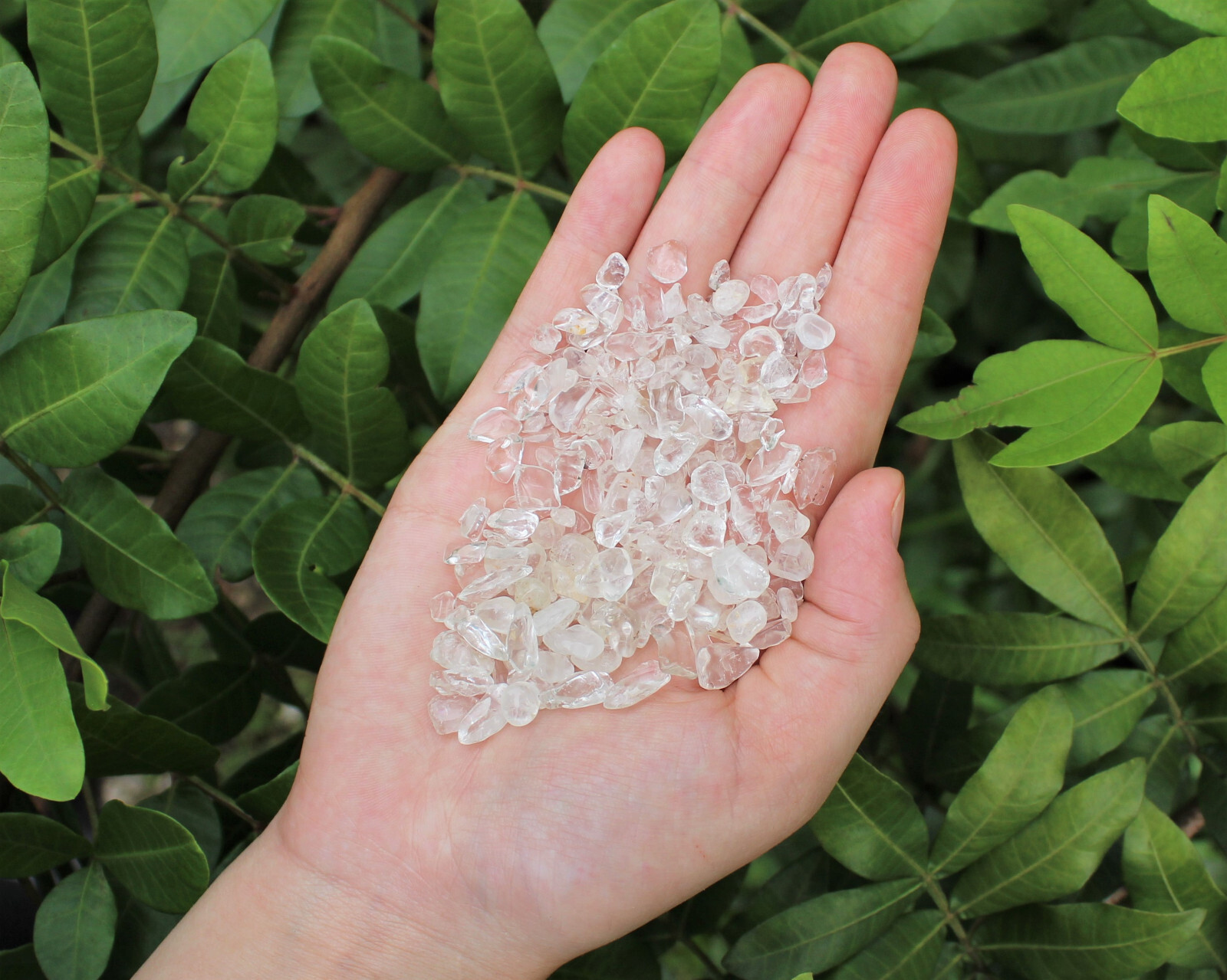 Bulk 1/4 lb Clear Quartz Semi Tumbled Stones Chips Mini Crystal 5 – 15 mm (4 oz)