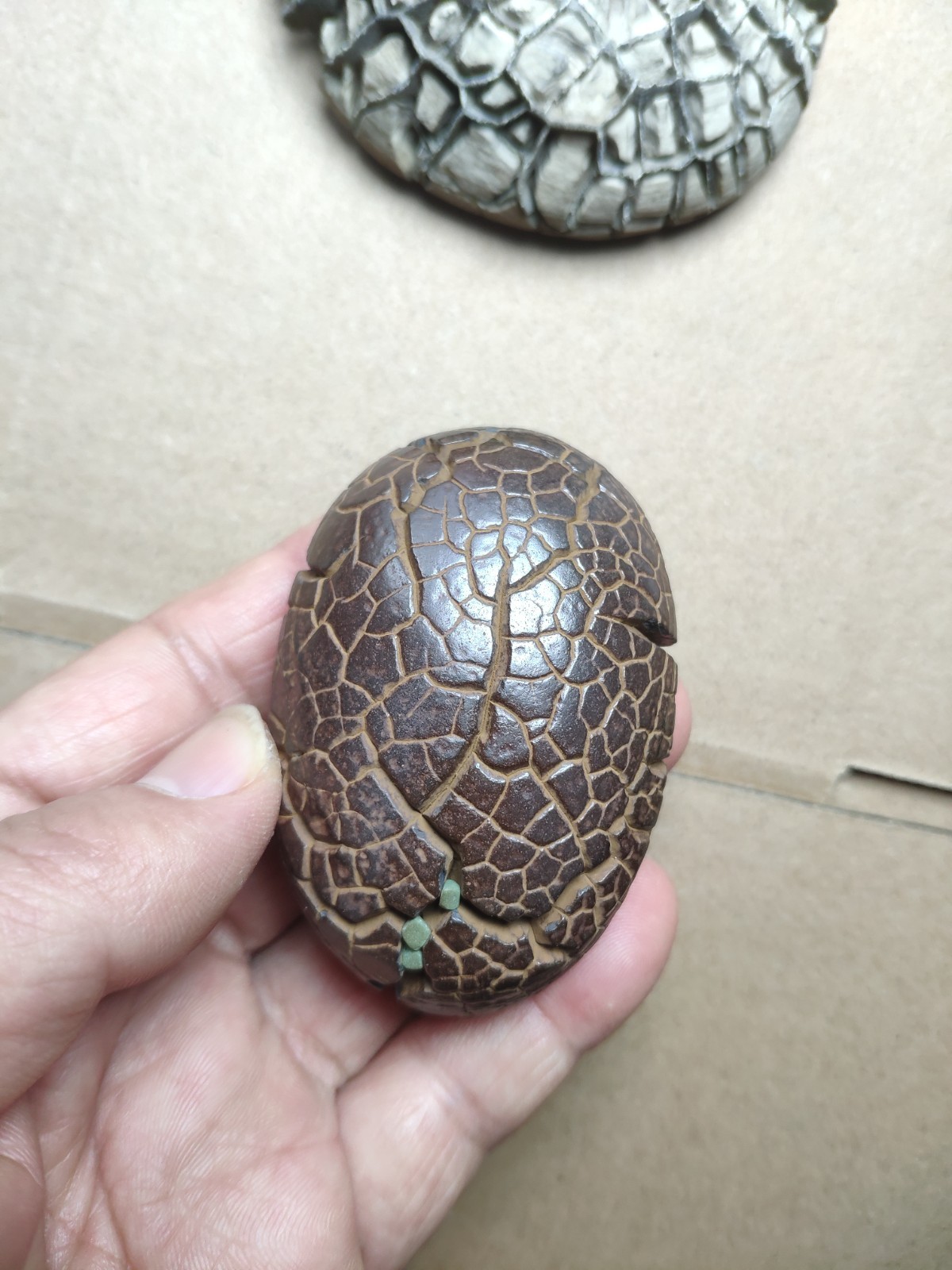 182g beautiful tortoise back pattern stone Turtle grain stone Landscape stone
