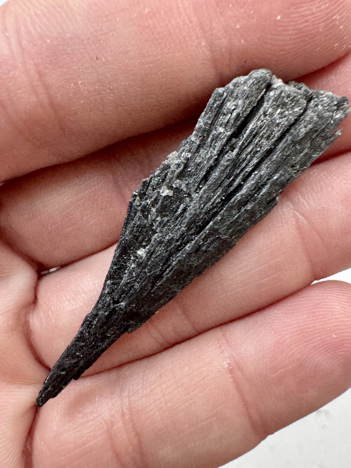 5 Pieces If Black Kyanite 36 Grams